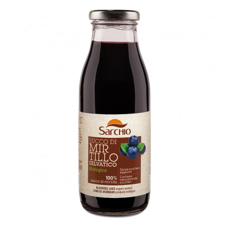 ZUMO ARANDANOS S/G ECO 330 ML