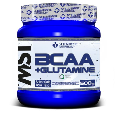 BCAA GLUTAMINA SANDIA 500 GR