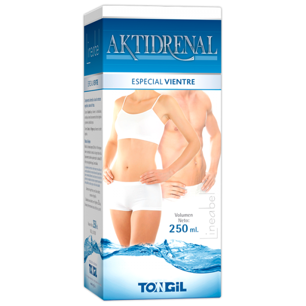 AKTIDRENAL ESPECIAL VIENTRE 250 ml