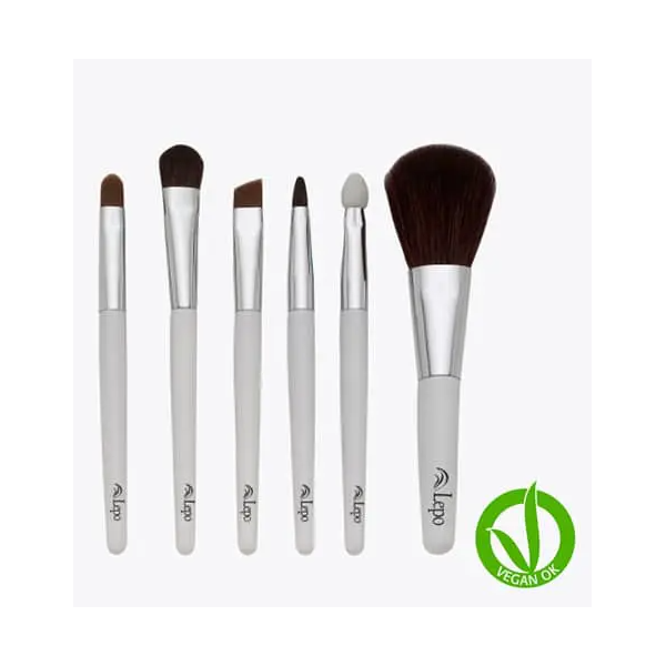 SET 6 BROCHAS PROFESIONALES