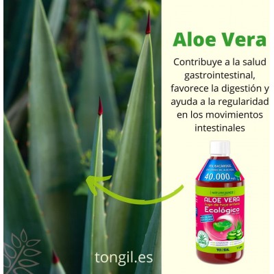 Jugo Aloe Vera Eco 1L - Natural y Ecológico