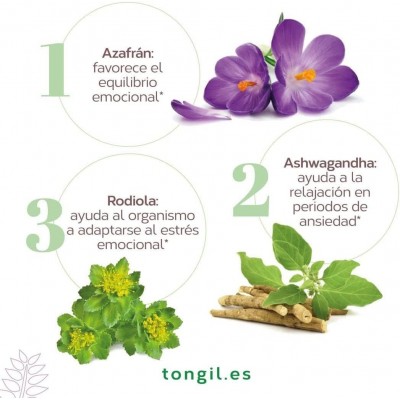 Nivelansi Formato Ahorro 80 Caps - Suplemento Natural
