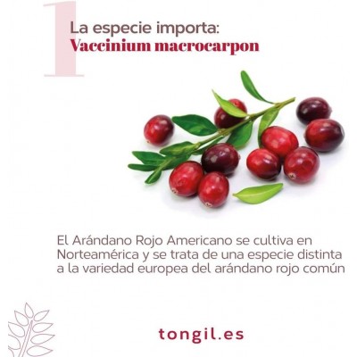 EP Cranberry Mega 150 PACS - 40 Caps