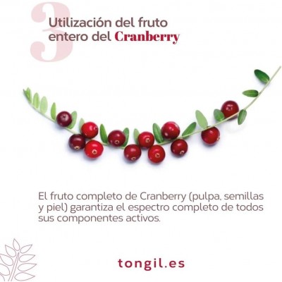 EP Cranberry Plus 120 PACS - Suplemento Natural