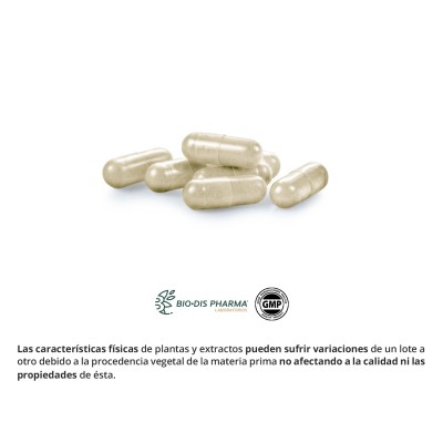 Alcachofa y Cola de Caballo 300 mg - Suplemento Natural