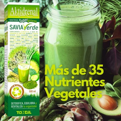 AKTIDRENAL SAVIA VERDE 500 ml - Suplemento Nutritivo