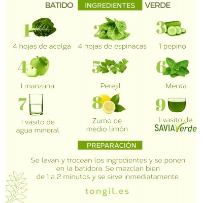 AKTIDRENAL SAVIA VERDE 500 ml - Suplemento Nutritivo