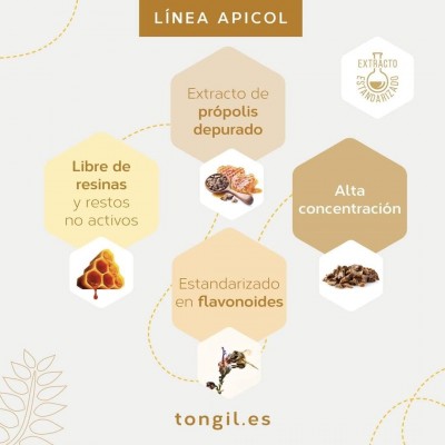 Apicol Jarabe Extracto Própolis 250 ml - Suplemento Natural