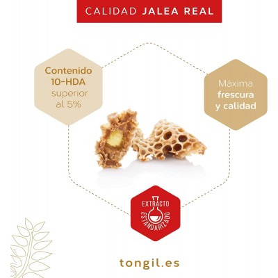 ALIGELFORT VITAL 55 perlas - Suplemento Energético