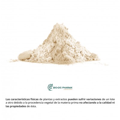 Echinacea 250 mg - Suplemento Natural