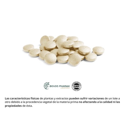 Echinacea 250 mg - Suplemento Natural
