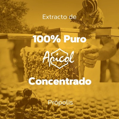 APICOL Extracto de Própolis 60 ml - Suplemento Natural