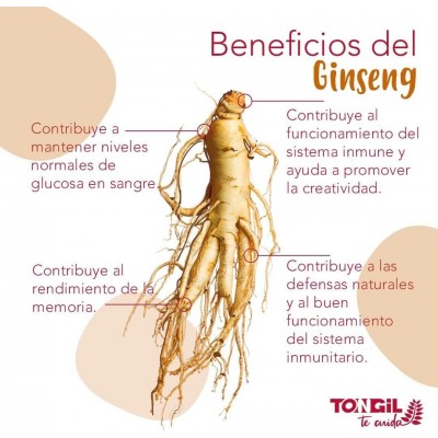Ginseng Il Hwa Tarro 500 mg - 100 cápsulas