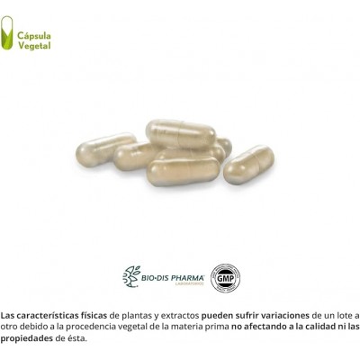 Prostaterum Complex 625 mg - Suplemento Natural