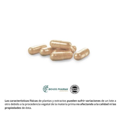 Cola Caballo Complex 3250 mg - Nature Essential