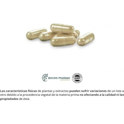 Café Verde Complex 2800 mg - Nature Essential
