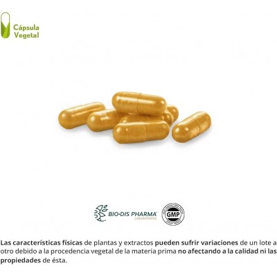 Cúrcuma Complex 10000 mg con Jengibre y Pimienta