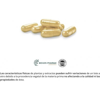 Cardo Mariano Complex 9725 mg - 60 Cápsulas