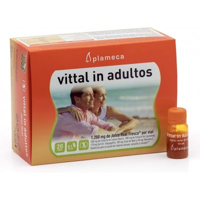 Jalea Real Vittal en Viales - 20 Viales 10 ml
