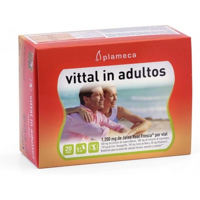 Jalea Real Vittal en Viales - 20 Viales 10 ml