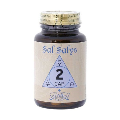 Sal Salys 2 CAP 90 Comp - Suplemento Mineral