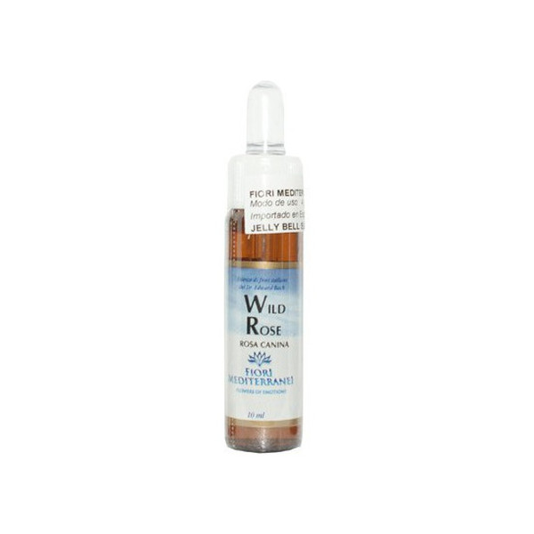 FM 37 WILD ROSE (ROSA SILVESTRE) 10 ML