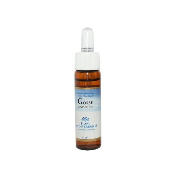 FM GORSE 10 ML  (AULAGA)