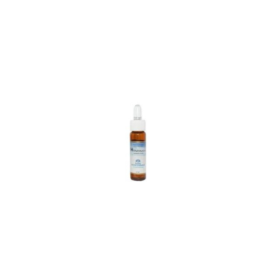FM 19 Larch (Alerce) 10 ml - Flor de Bach