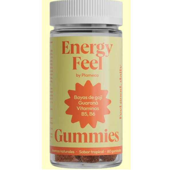 GUMMIES ENERGY FEEL 60 GOMINOLAS
