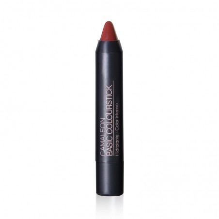 CAMALEON BASIC COLOURSTICK TERRA  07